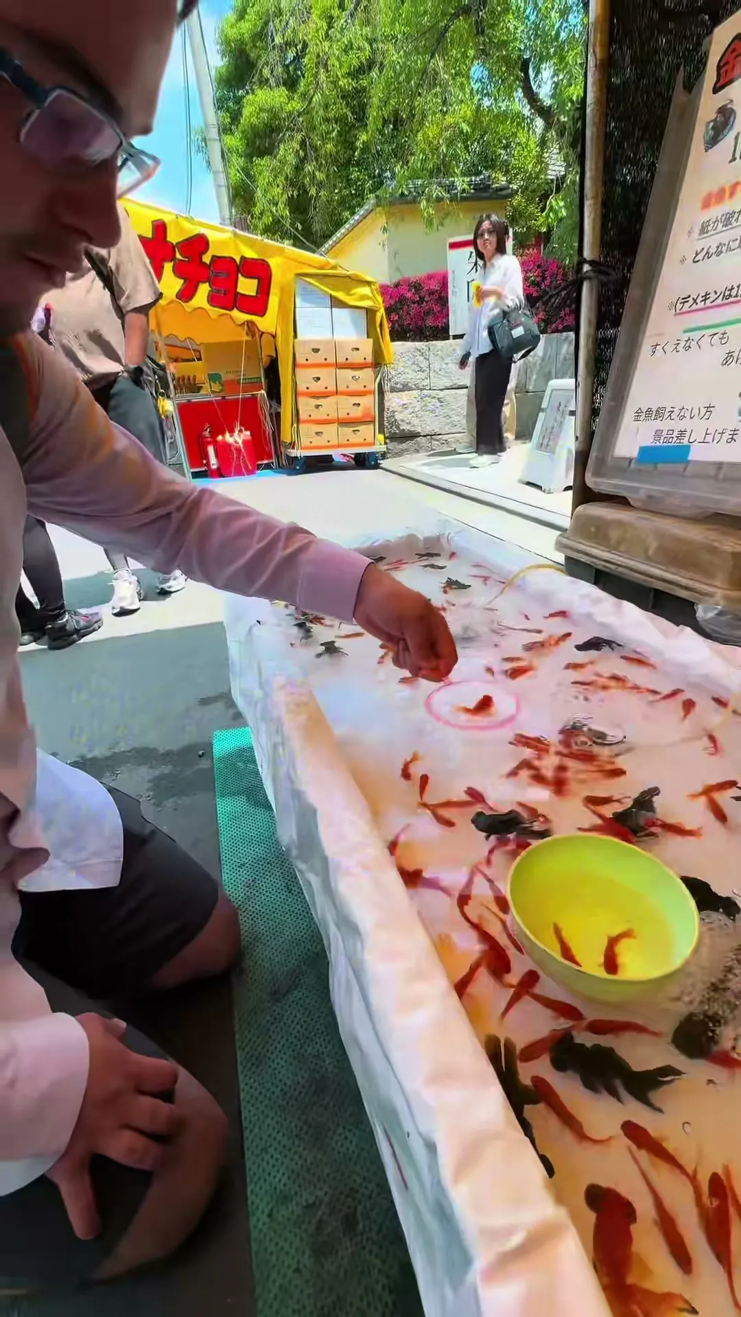 La pêche aux poissons rouges